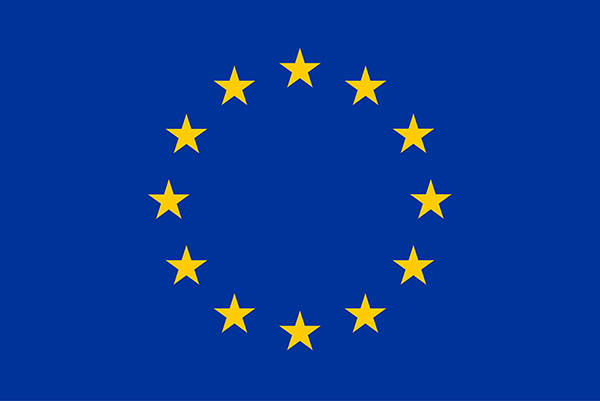 EU Flagge offiziell